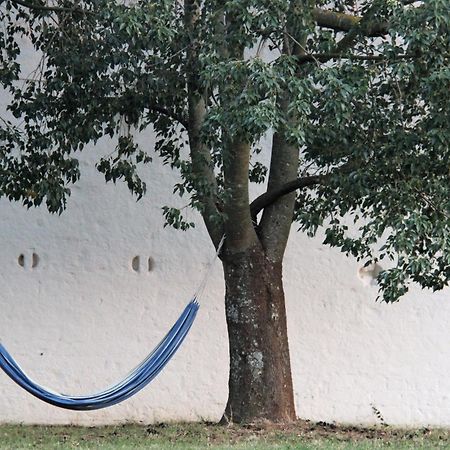 B&B Masseria Santanna Impalata Exteriör bild