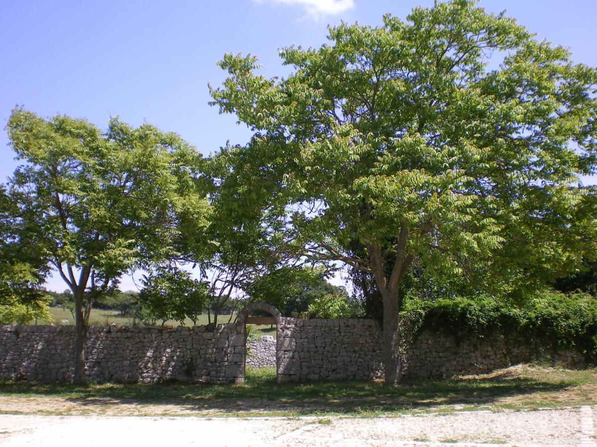 B&B Masseria Santanna Impalata Exteriör bild