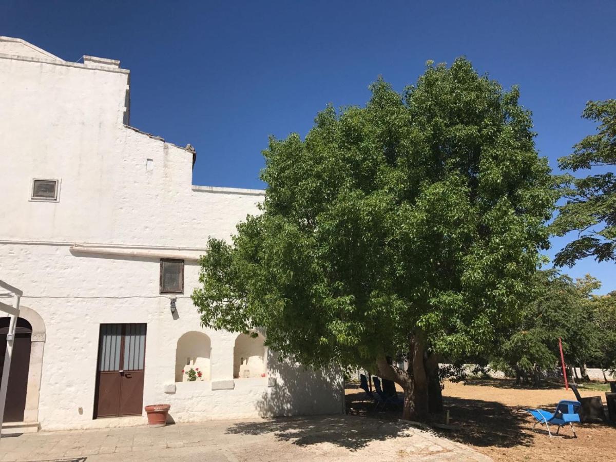 B&B Masseria Santanna Impalata Exteriör bild