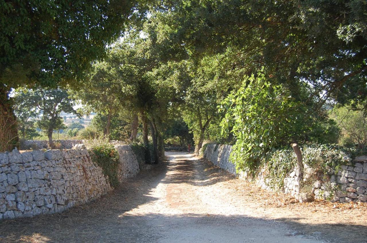 B&B Masseria Santanna Impalata Exteriör bild